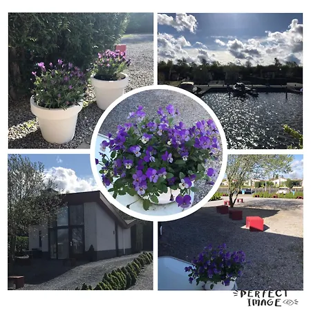 Holiday home Alcedo Ermelo